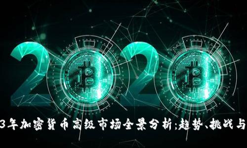 2023年加密货币高级市场全景分析:趋势、挑战与机遇