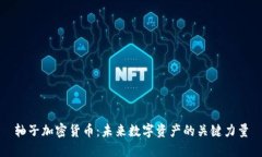 轴子加密货币:未来数字资产的关键力量