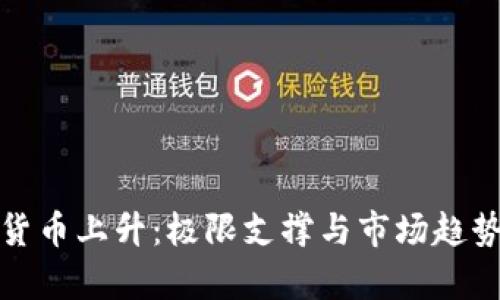 加密货币上升:极限支撑与市场趋势分析