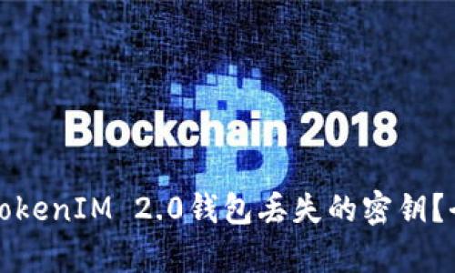 如何恢复TokenIM 2.0钱包丢失的密钥?全方位指南