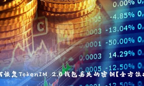 如何恢复TokenIM 2.0钱包丢失的密钥?全方位指南
