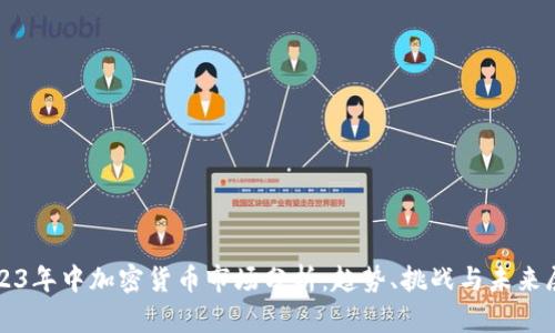2023年中加密货币市场分析:趋势、挑战与未来展望