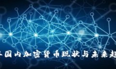 2023年国内加密货币现状与未来趋势分析