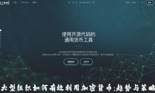 大型组织如何有效利用加密货币:趋势与策略