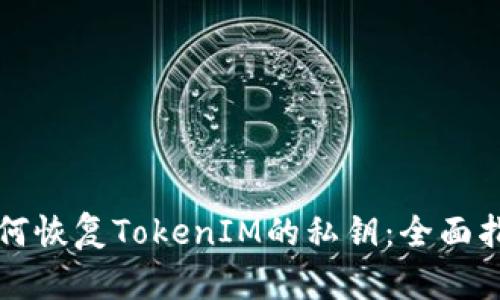 如何恢复TokenIM的私钥:全面指南