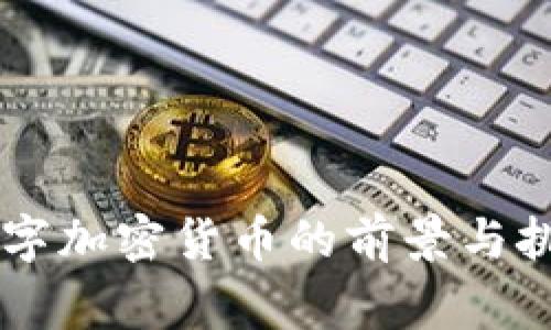 皇家数字加密货币的前景与挑战分析