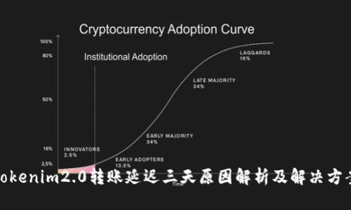 Tokenim2.0转账延迟三天原因解析及解决方案