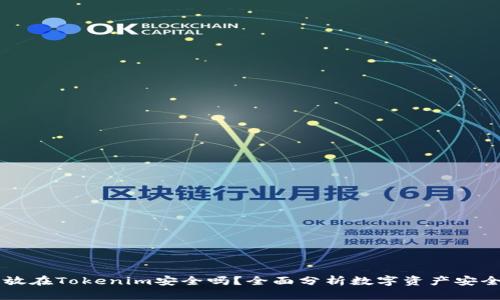 币放在Tokenim安全吗？全面分析数字资产安全性