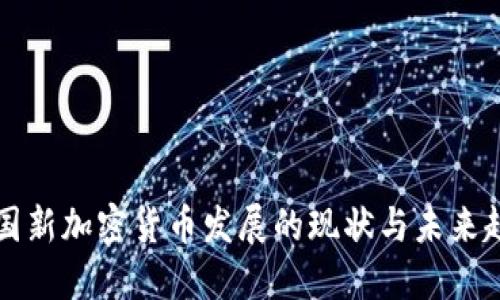 中国新加密货币发展的现状与未来趋势