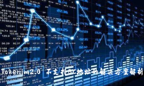 Tokenim2.0 不支持BC地址的解决方案解析