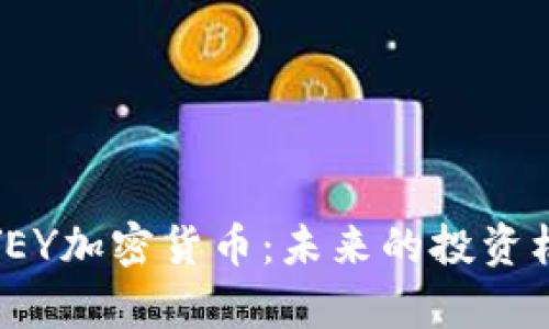 全面解析YEY加密货币:未来的投资机会与风险