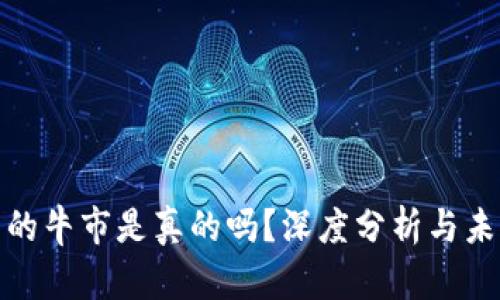 加密货币圈的牛市是真的吗?深度分析与未来趋势预测