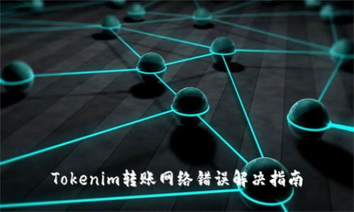 Tokenim转账网络错误解决指南
