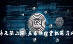 加密货币无限上涨:未来的投资机遇与风险分析
