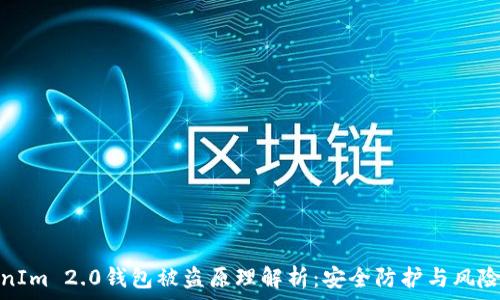 TokenIm 2.0钱包被盗原理解析:安全防护与风险应对
