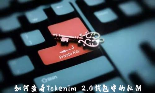 如何查看Tokenim 2.0钱包中的私钥