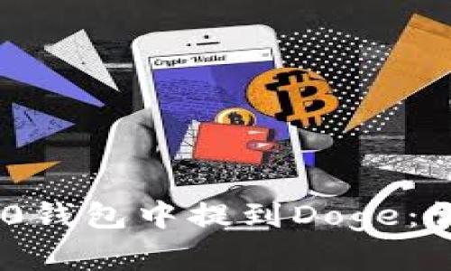 如何在TokenIM 2.0钱包中提到Doge:详细指南和实践经验