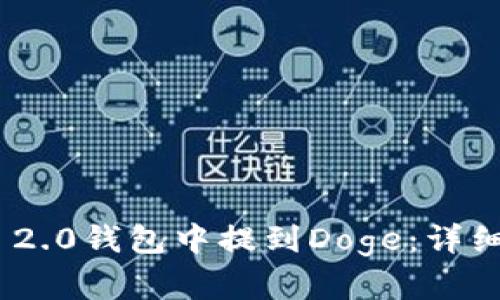 如何在TokenIM 2.0钱包中提到Doge:详细指南和实践经验