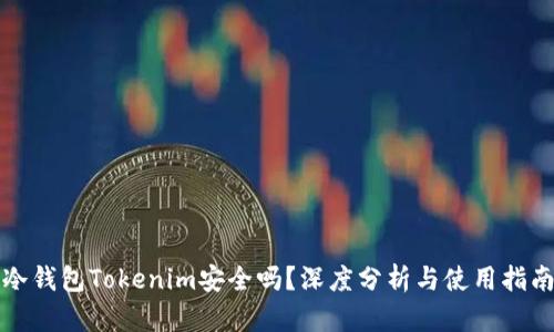 冷钱包Tokenim安全吗?深度分析与使用指南
