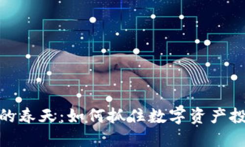 加密货币的春天：如何抓住数字资产投资的机遇