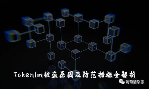 Tokenim被盗原因及防范措施全解析