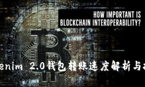 Tokenim 2.0钱包转账速度解析与技巧