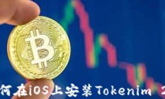 如何在iOS上安装Tokenim 2.0br