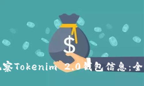 如何观察Tokenim 2.0钱包信息:全面指南
