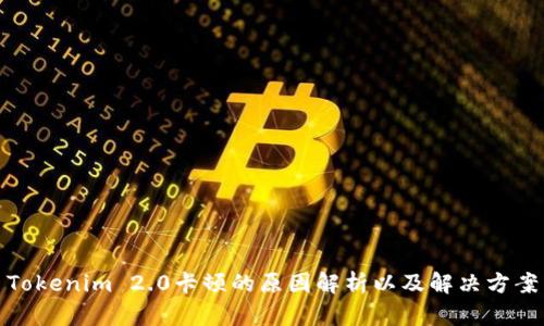 Tokenim 2.0卡顿的原因解析以及解决方案