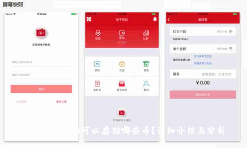 Tokenim 2.0可以存储哪些币?详细介绍与分析