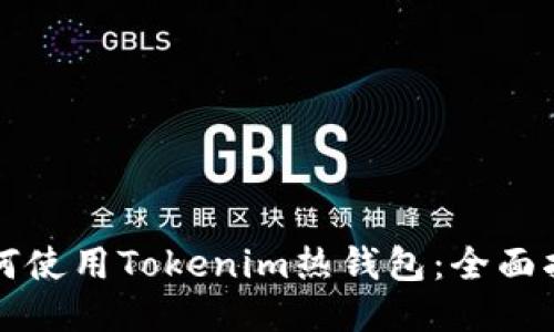 如何使用Tokenim热钱包:全面指南