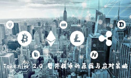 Tokenim 2.0 暂停提币的原因与应对策略