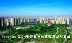 Tokenim 2.0 暂停提币的原因与应对策略