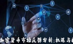 2023年加密货币市场反弹分析：机遇与挑战并存