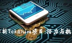 深入解析Tokenim项目:潜力与挑战并存