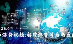 bizuo/bizuo加密货币涨价视频：解密涨势背后的原因