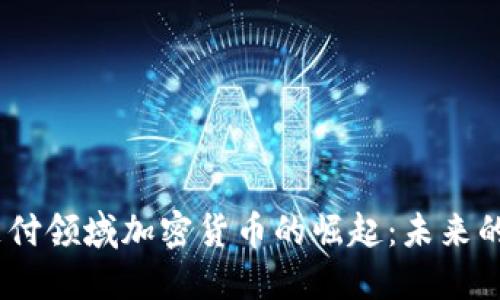 2023年支付领域加密货币的崛起：未来的金融革命