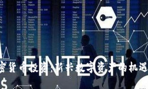 TED加密货币投资：新兴数字资产的机遇与挑战