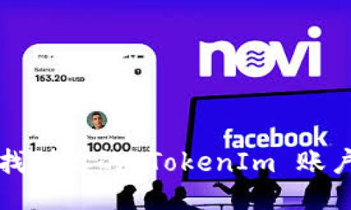 如何找到你的 TokenIm 账户信息
