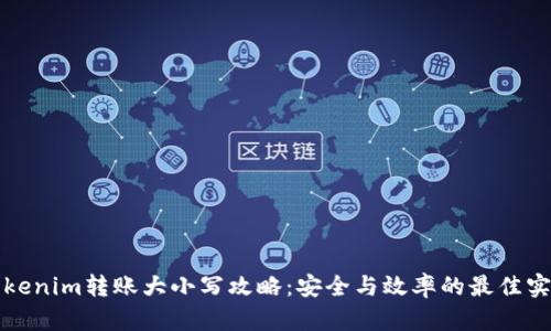 Tokenim转账大小写攻略:安全与效率的最佳实践