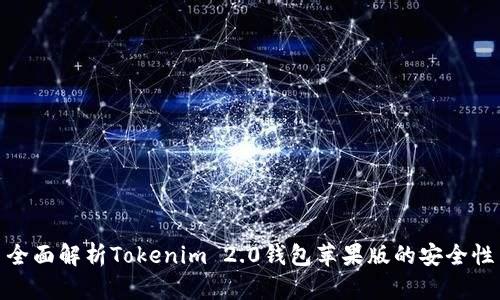 全面解析Tokenim 2.0钱包苹果版的安全性