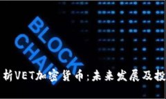 深入解析VET加密货币：未来发展及投资前景