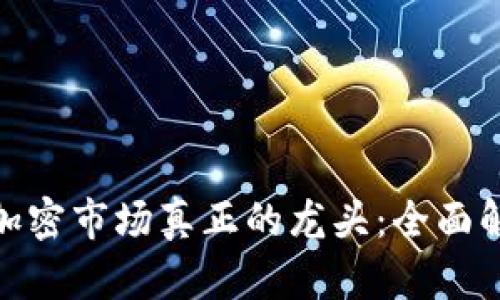 数字货币加密市场真正的龙头：全面解析与前瞻
