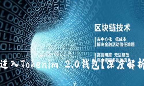 传销币能否进入Tokenim 2.0钱包?深度解析与风险提示