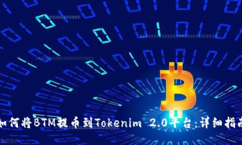 如何将BTM提币到Tokenim 2.0平台:详细指南