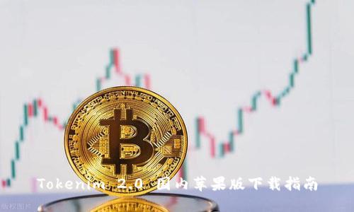Tokenim 2.0 国内苹果版下载指南