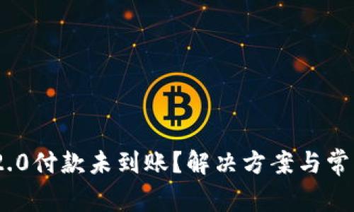 Tokenim 2.0付款未到账?解决方案与常见问题解析