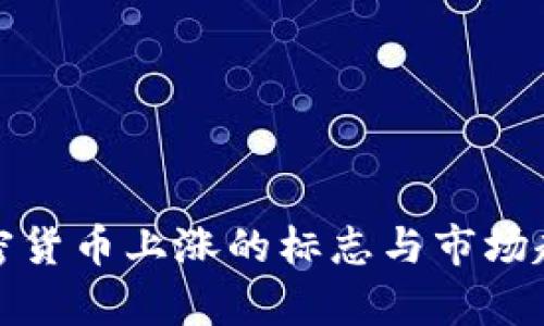 探讨加密货币上涨的标志与市场趋势分析