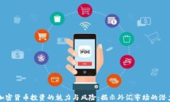 加密货币投资的魅力与风险：揭示外汇市场的潜