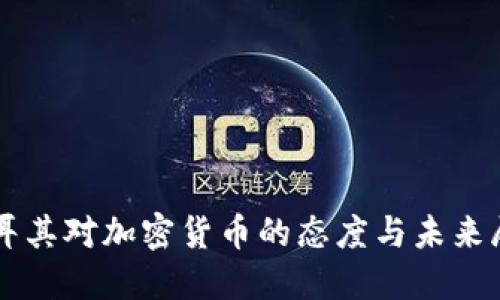 土耳其对加密货币的态度与未来展望